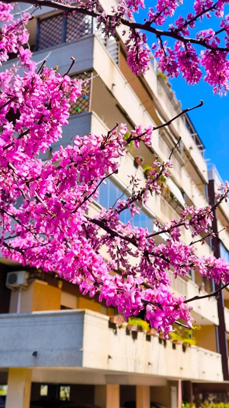 Rome Sweet Apartment Vitinia